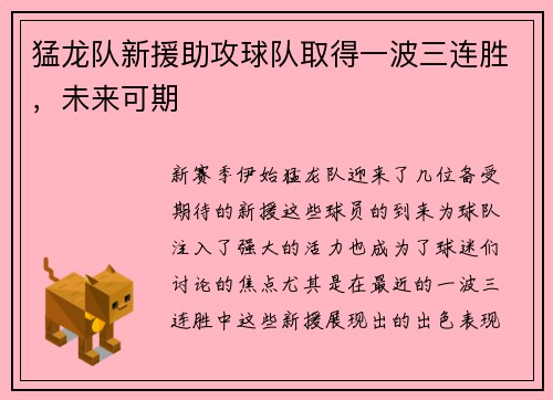猛龙队新援助攻球队取得一波三连胜，未来可期